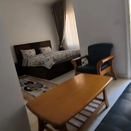 Paradise Hill 207